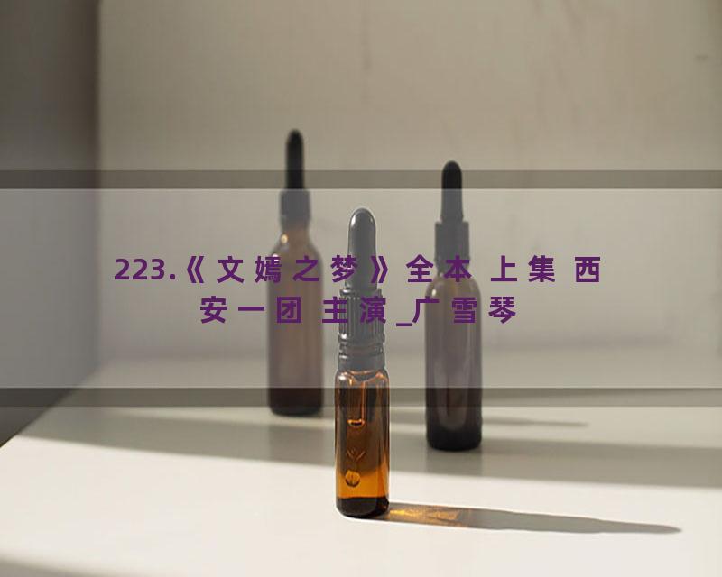 223.《文嫣之梦》全本 上集 西安一团 主演_广雪琴