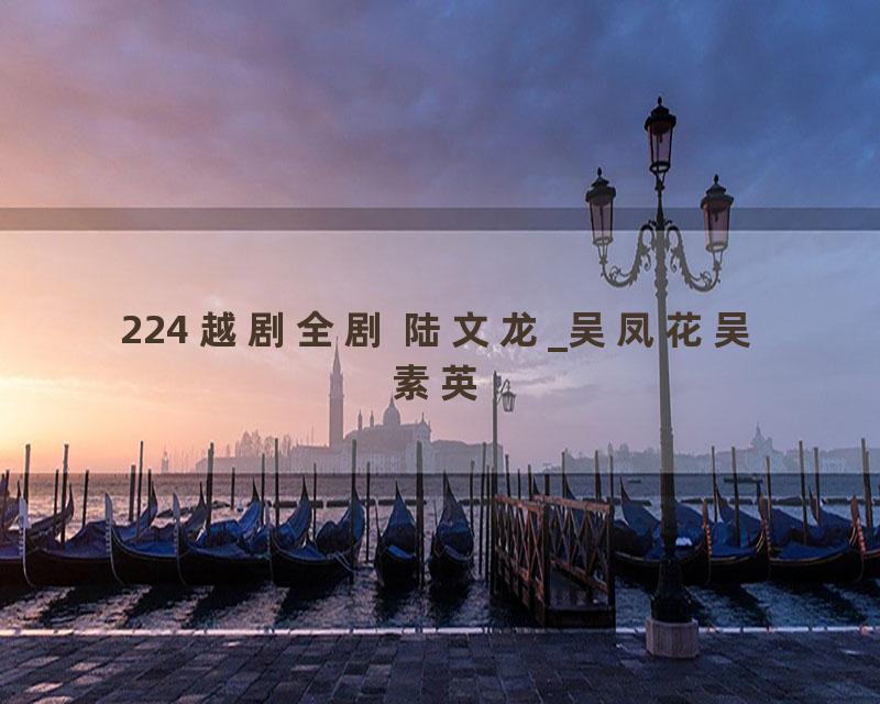 224 越剧全剧 陆文龙_吴凤花吴素英