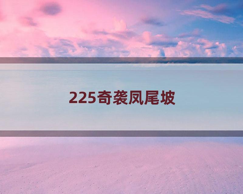 225奇袭凤尾坡