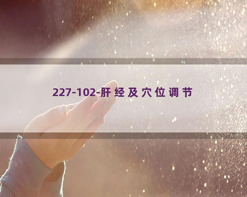 227-102-肝经及穴位调节