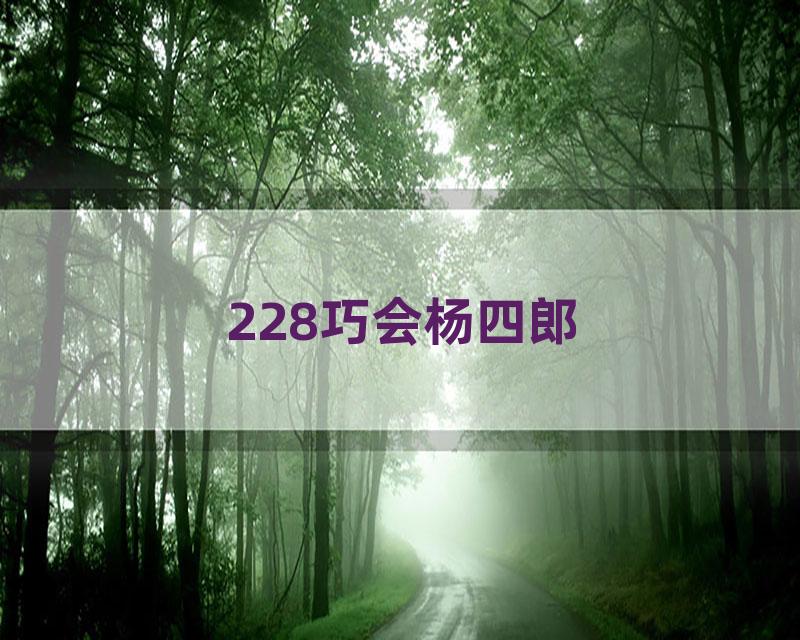 228巧会杨四郎