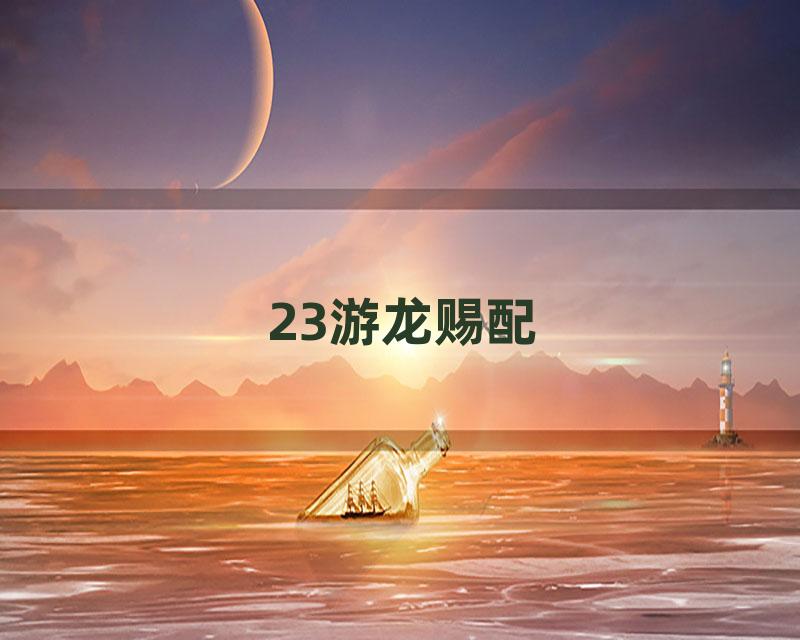 23游龙赐配