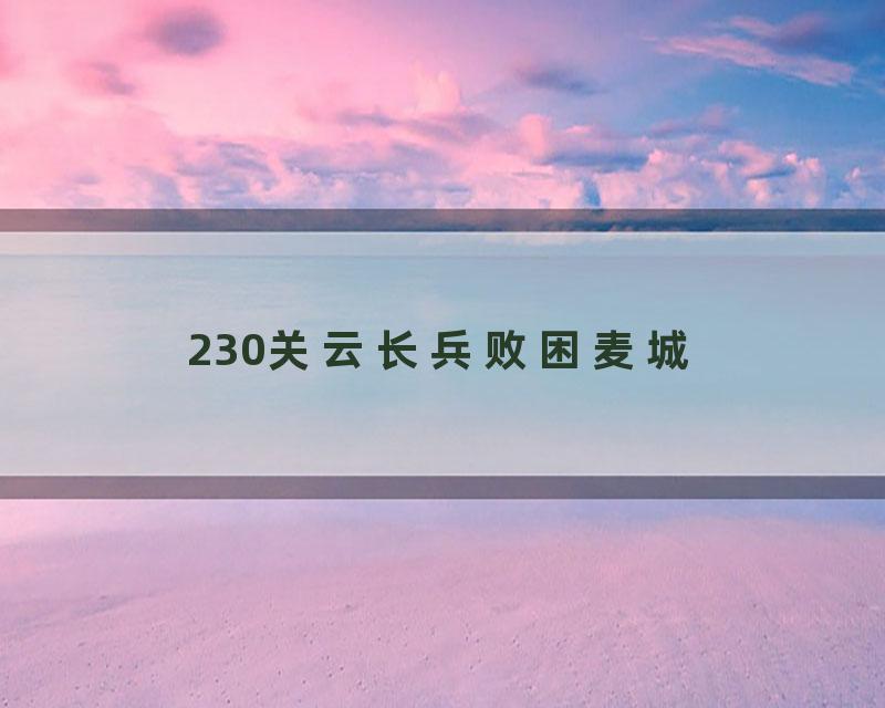 230关云长兵败困麦城