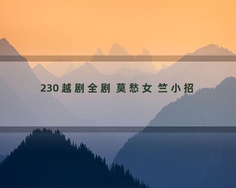 230 越剧全剧 莫愁女 竺小招