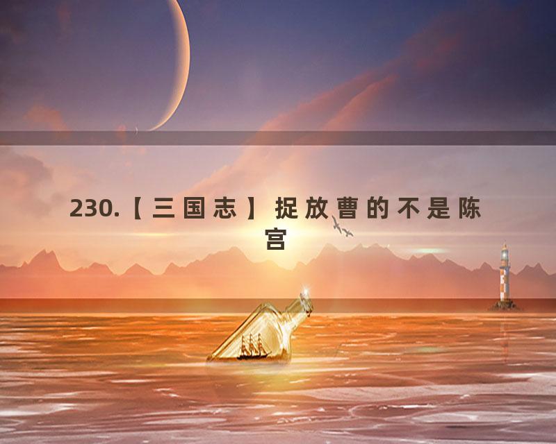 230.【三国志】捉放曹的不是陈宫
