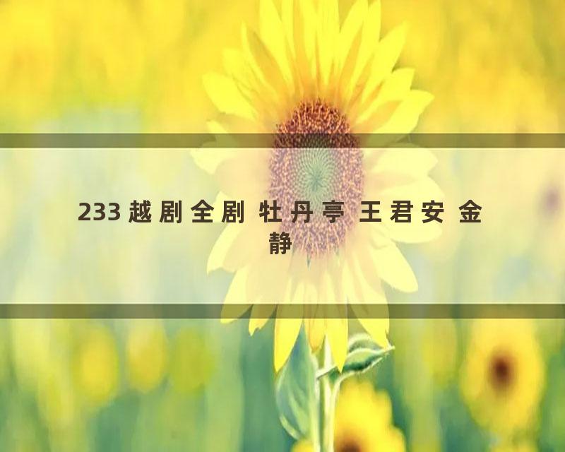 233 越剧全剧 牡丹亭 王君安 金静