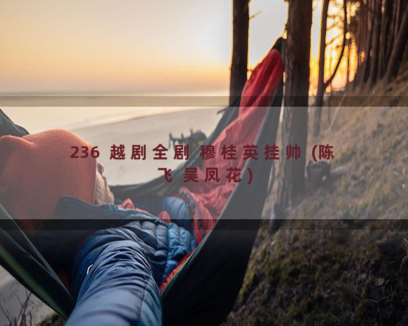 236  越剧全剧 穆桂英挂帅 (陈飞 吴凤花)