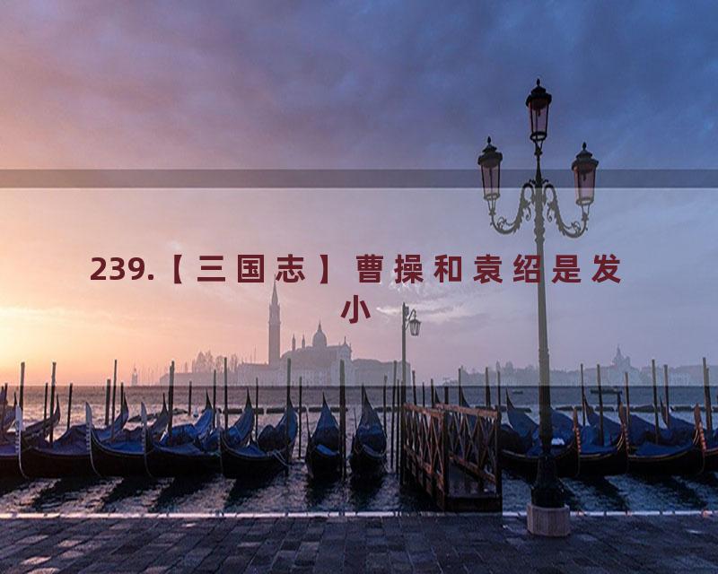 239.【三国志】曹操和袁绍是发小