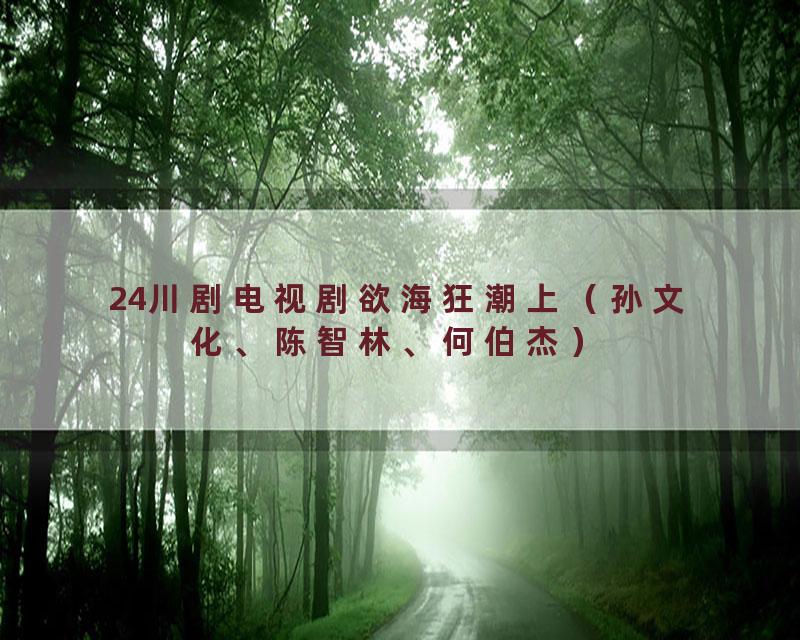 24川剧电视剧欲海狂潮上（孙文化、陈智林、何伯杰）
