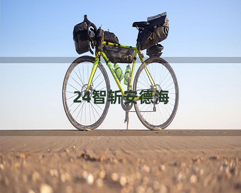 24智斩安德海