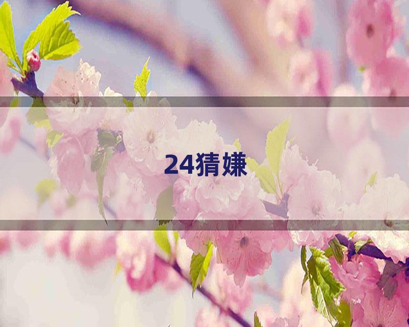 24猜嫌