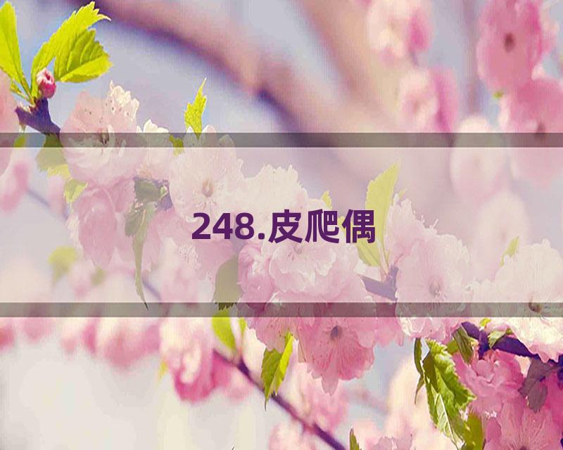 248.皮爬偶