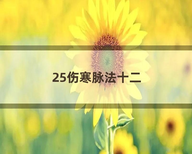 25伤寒脉法十二