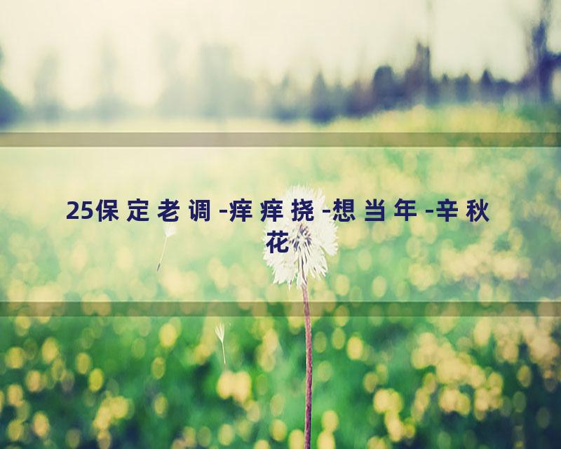 25保定老调-痒痒挠-想当年-辛秋花