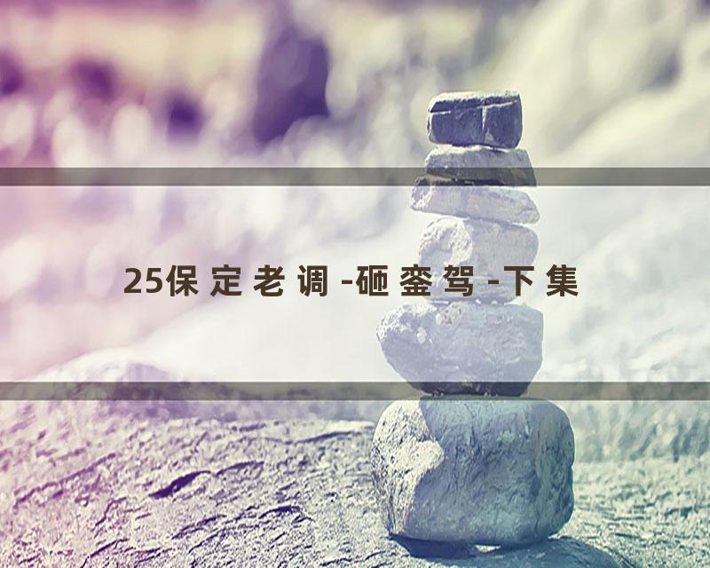 25保定老调-砸銮驾-下集