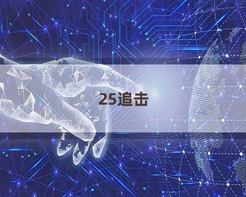 25追击