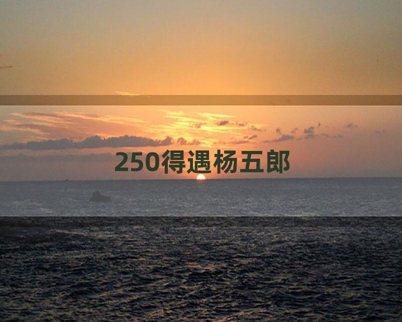 250得遇杨五郎