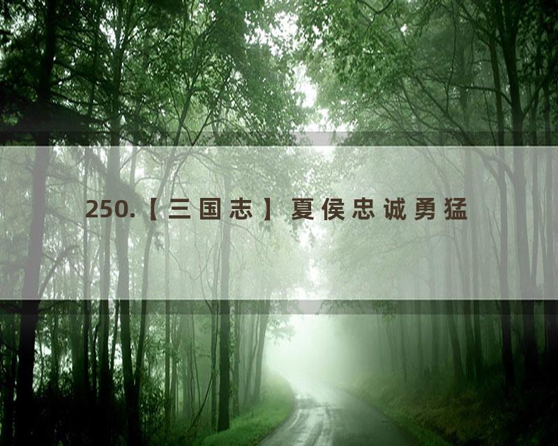 250.【三国志】夏侯忠诚勇猛