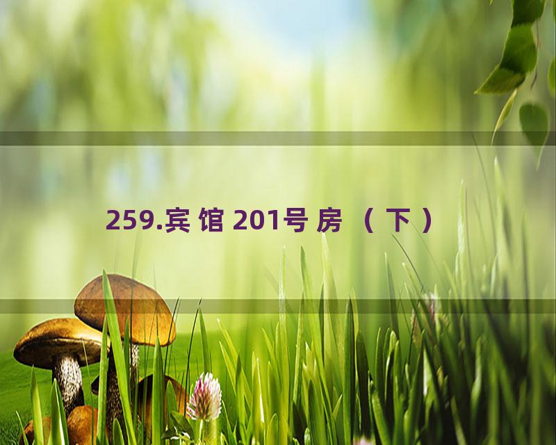 259.宾馆201号房（下）