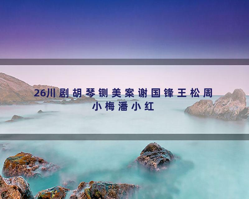 26川剧胡琴铡美案谢国锋王松周小梅潘小红