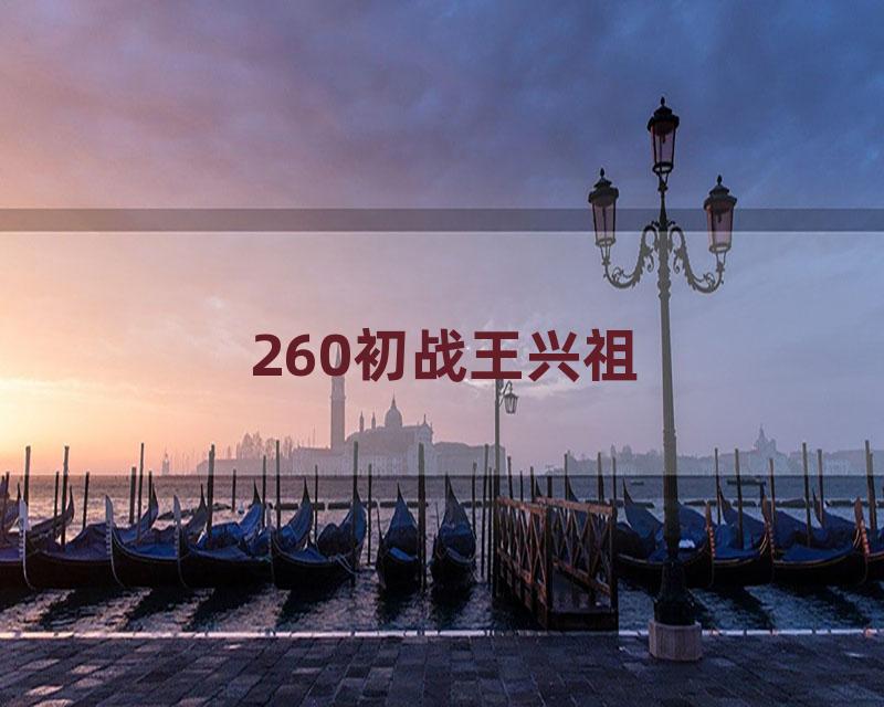 260初战王兴祖