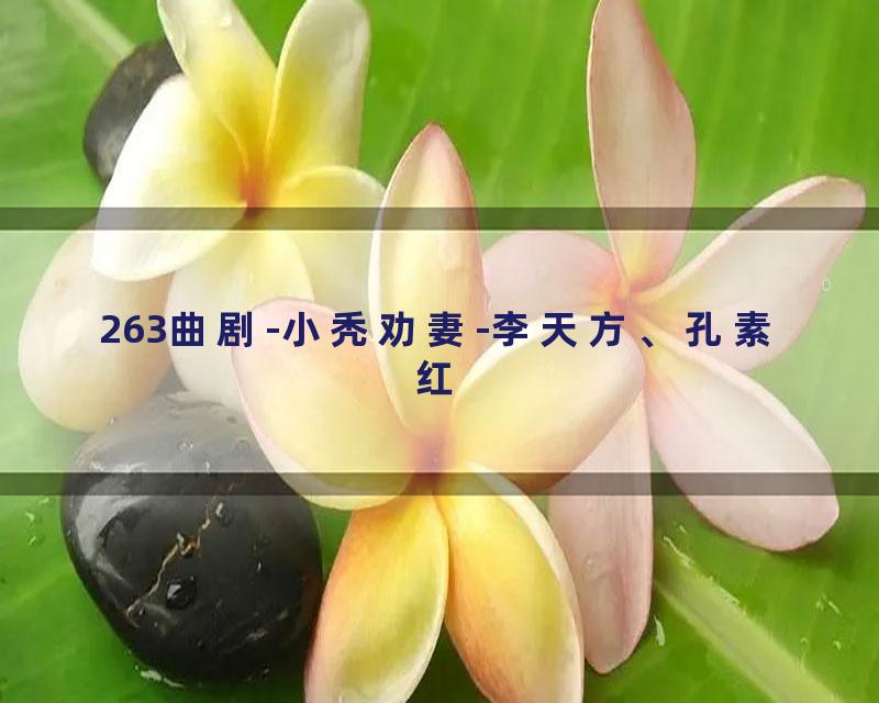 263曲剧-小秃劝妻-李天方、孔素红
