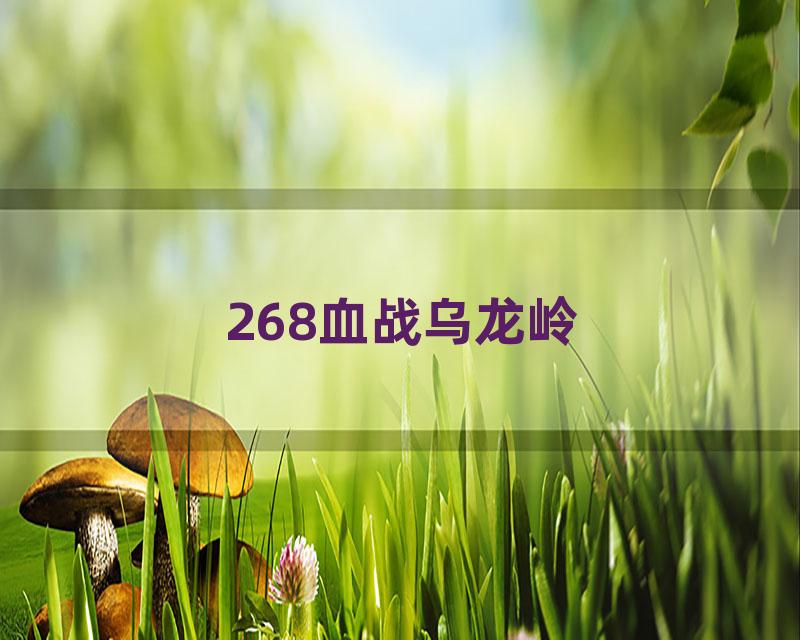 268血战乌龙岭