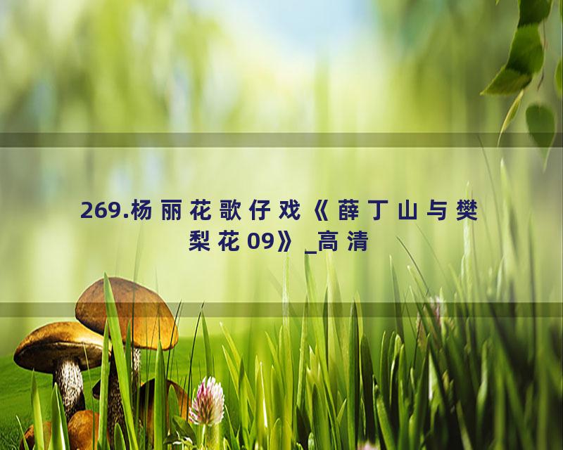 269.杨丽花歌仔戏《薛丁山与樊梨花09》_高清