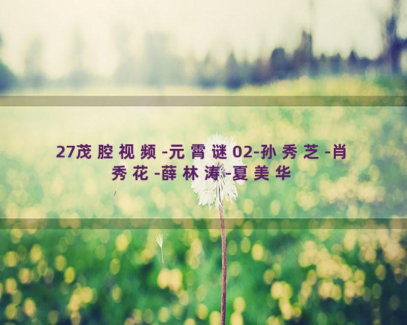 27茂腔视频-元霄谜02-孙秀芝-肖秀花-薛林涛-夏美华