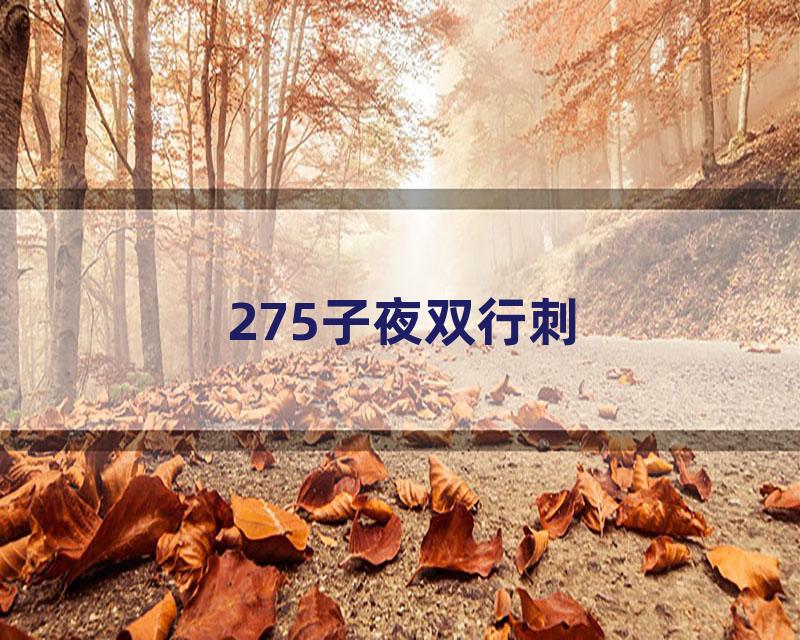 275子夜双行刺