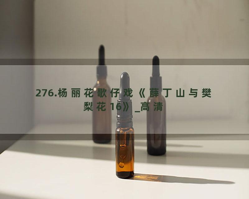 276.杨丽花歌仔戏《薛丁山与樊梨花16》_高清