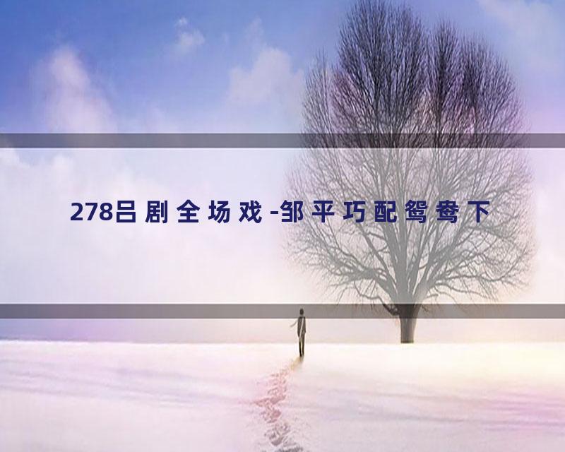 278吕剧全场戏-邹平巧配鸳鸯下