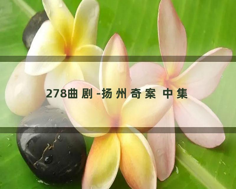 278曲剧-扬州奇案 中集