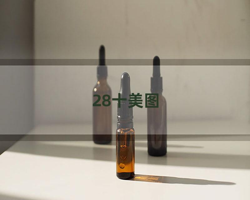 28十美图