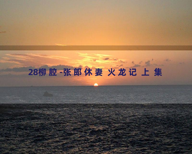 28柳腔-张郎休妻 火龙记 上 集