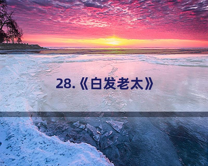 28.《白发老太》