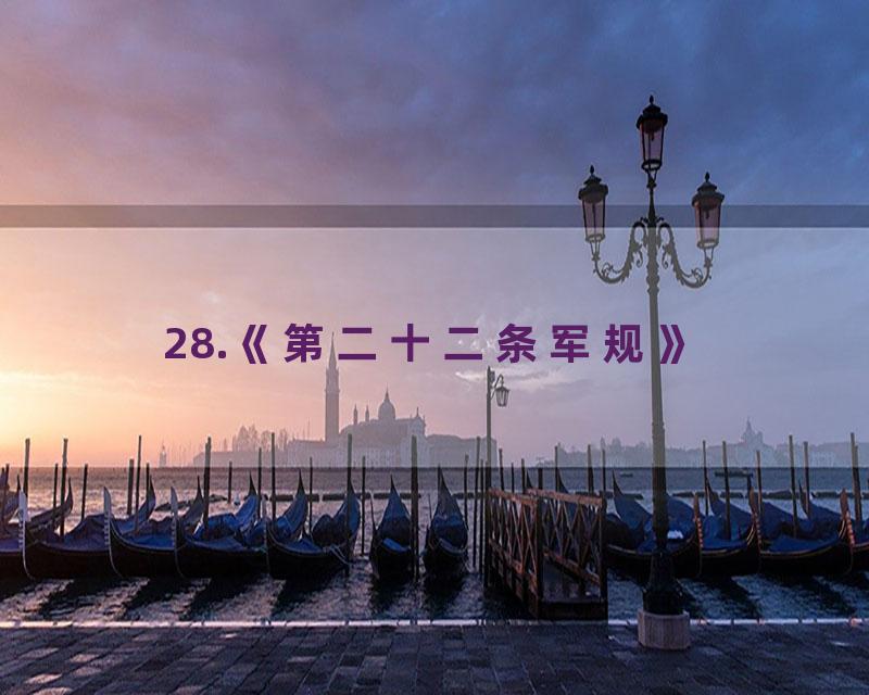 28.《第二十二条军规》
