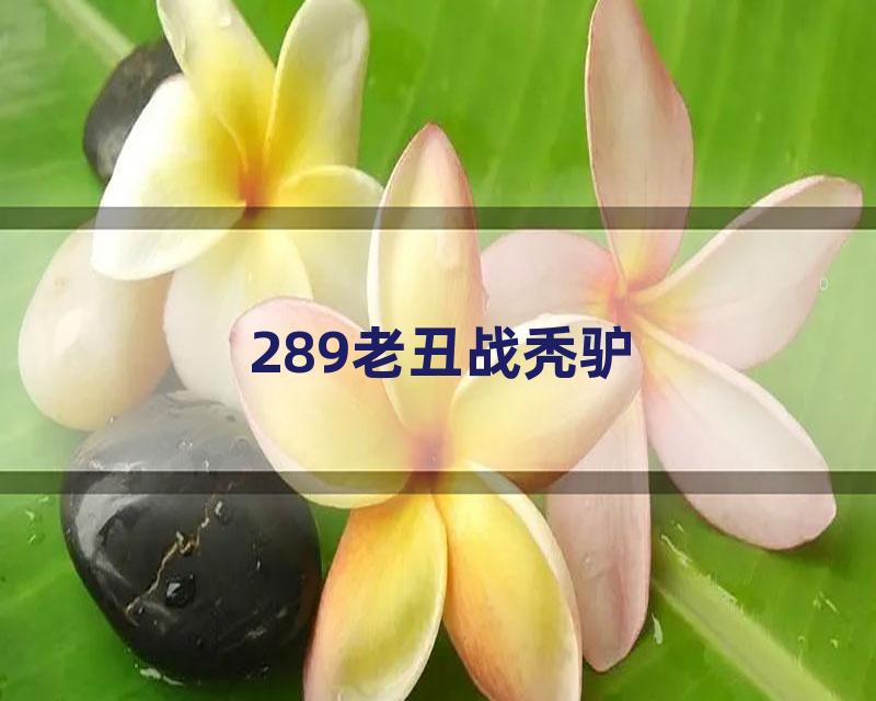 289老丑战秃驴