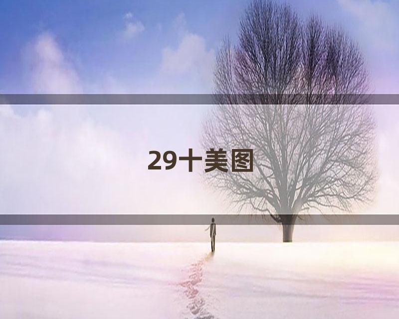 29十美图