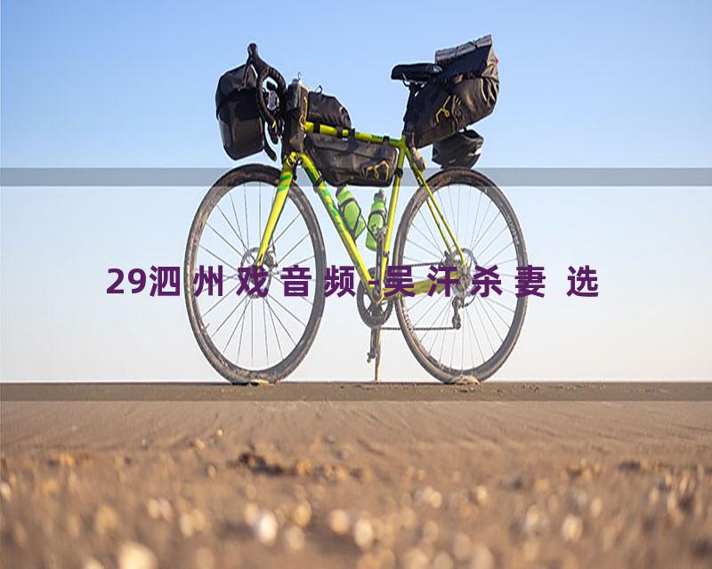 29泗州戏音频-吴汗杀妻 选