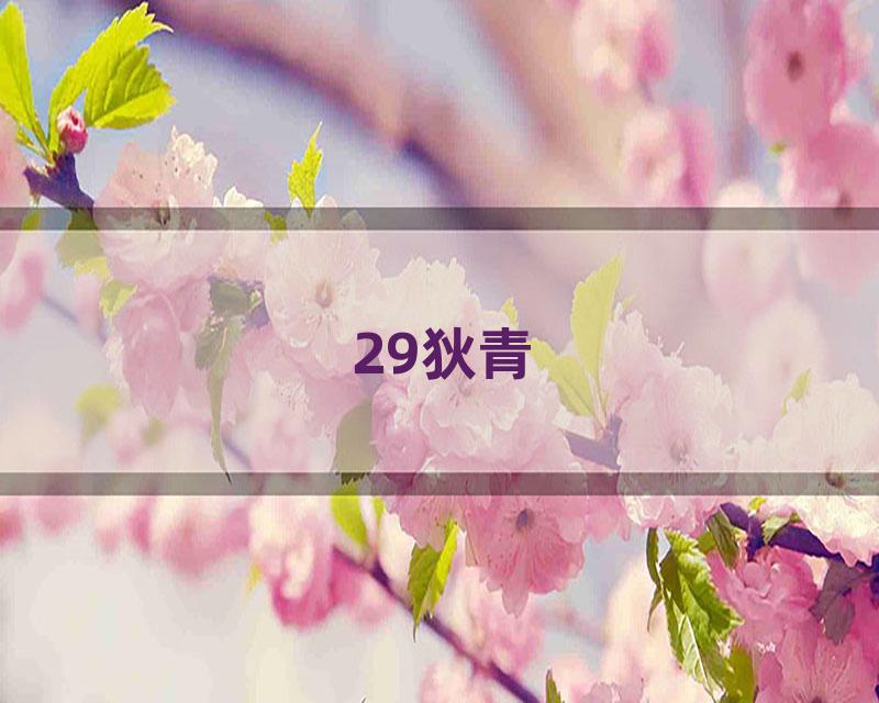 29狄青