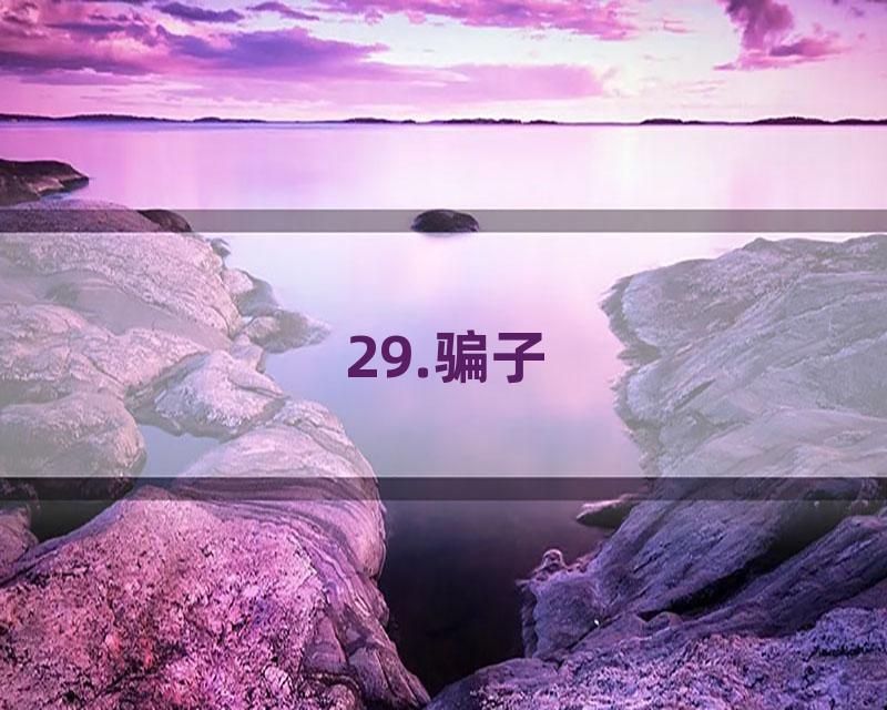 29.骗子