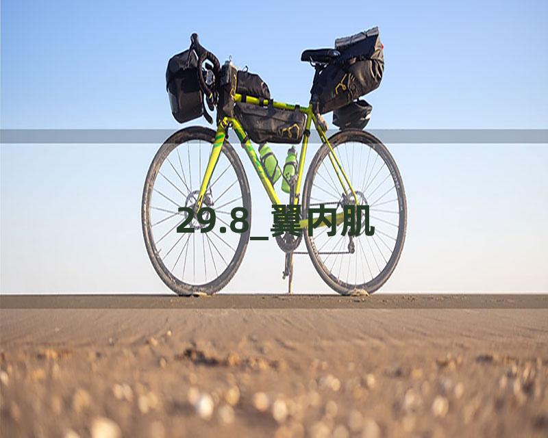 29.8_翼内肌