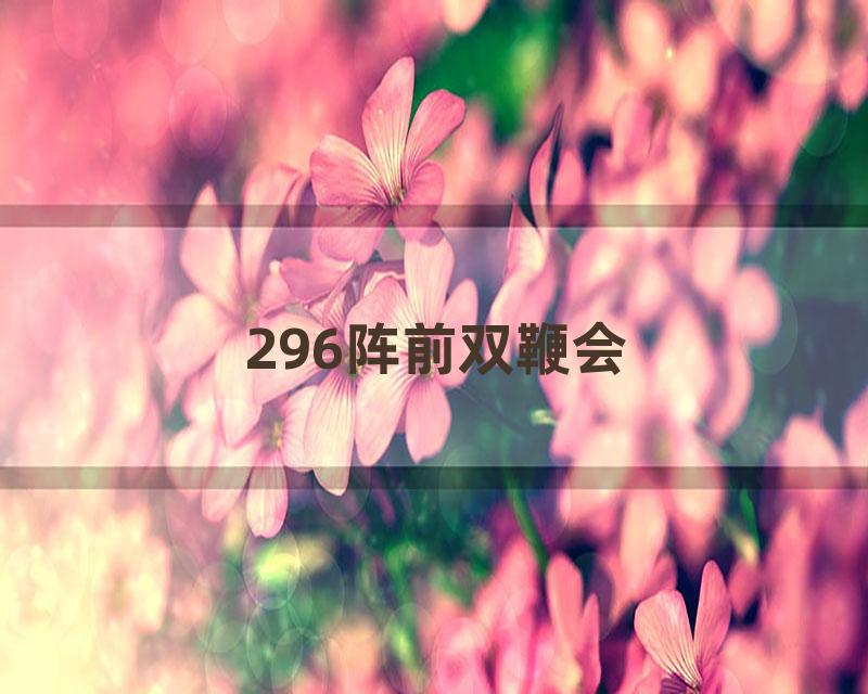 296阵前双鞭会