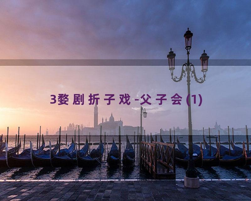 3婺剧折子戏-父子会(1)