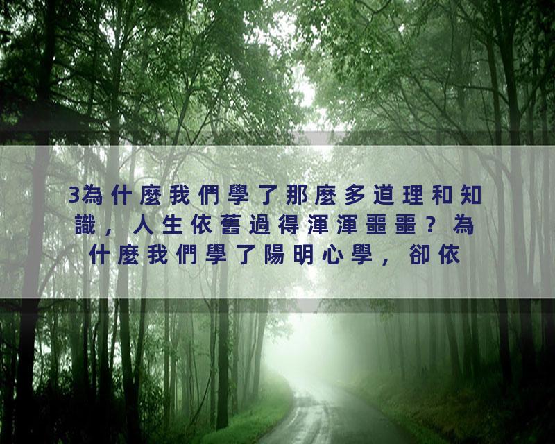 3為什麼我們學了那麼多道理和知識，人生依舊過得渾渾噩噩？為什麼我們學了陽明心學，卻依舊無法落地？只要我們的人生第一等大…