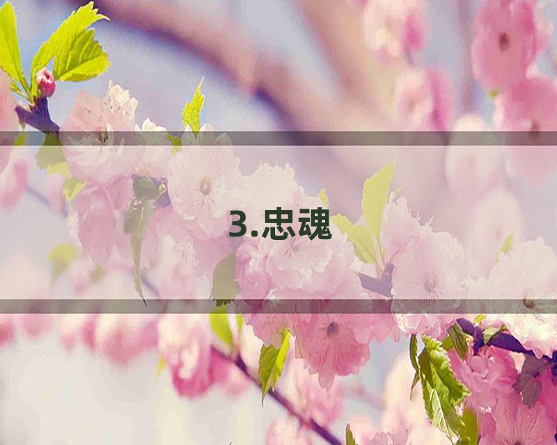 3.忠魂