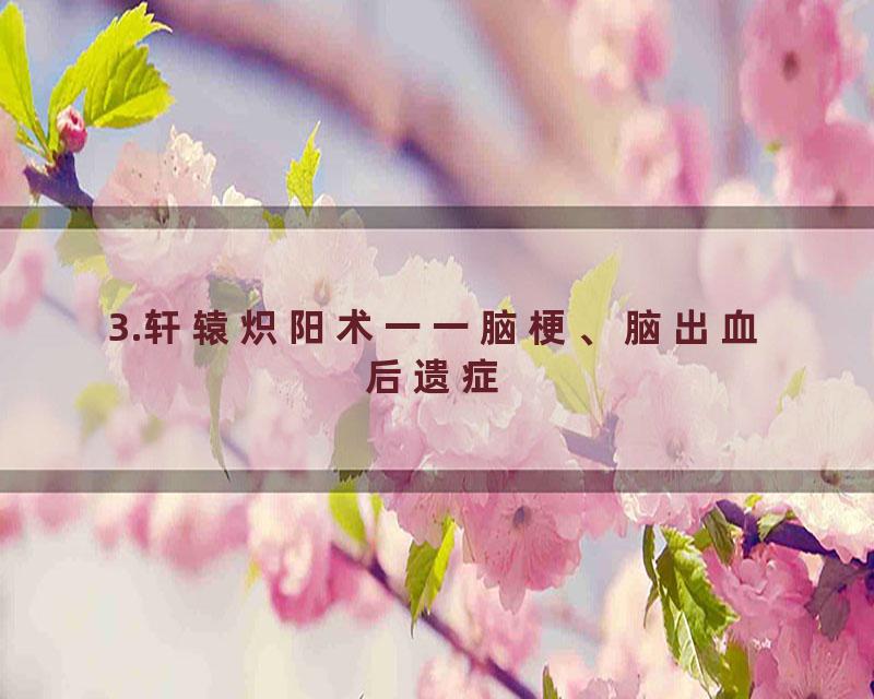3.轩辕炽阳术一一脑梗、脑出血后遗症