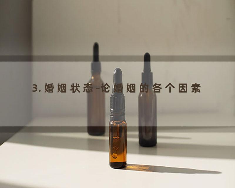 3. 婚姻状态-论婚姻的各个因素