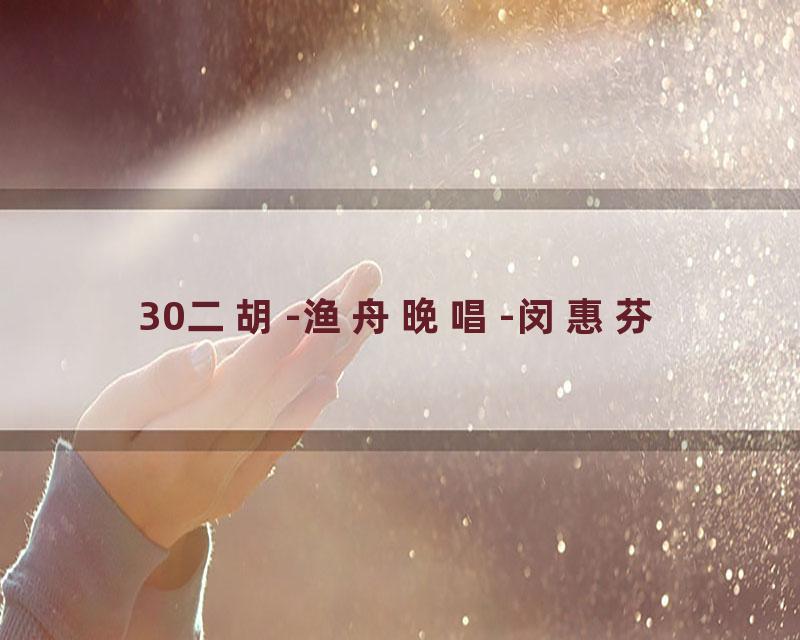 30二胡-渔舟晚唱-闵惠芬